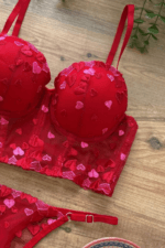 Αισθησιακή Κόκκινη Δαντέλα: Η Απόλυτη Έκφραση του Πάθους - Image 3